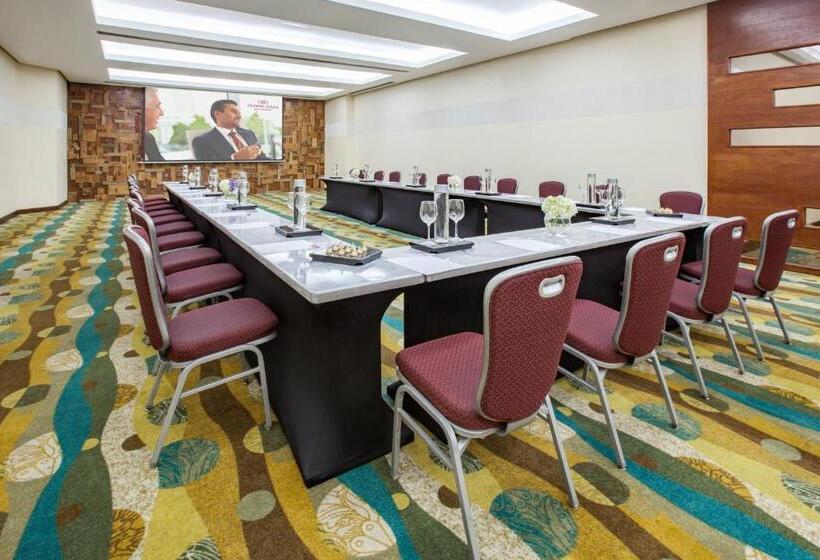 هتل Crowne Plaza Santo Domingo, An Ihg