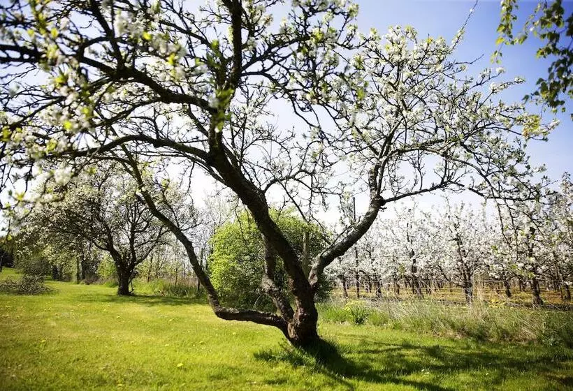 Motel Højmølle Kro