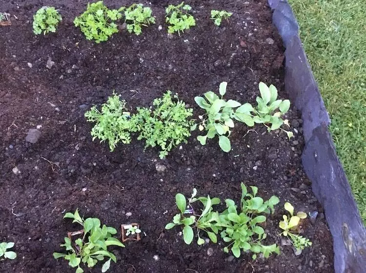 Hotel 19th Green Guesthouse