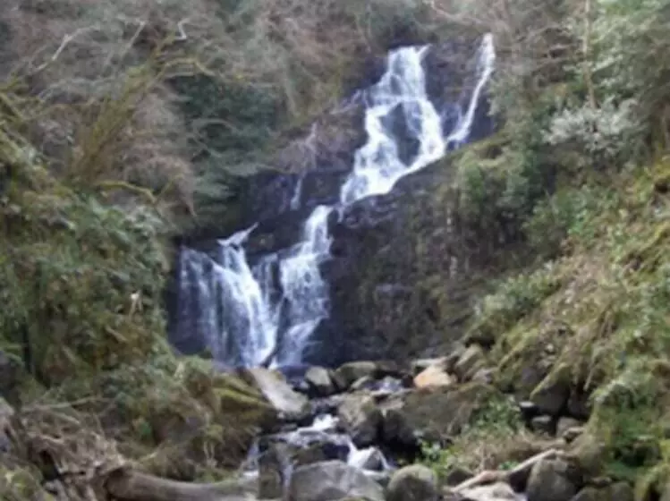 Hotel 19th Green Guesthouse