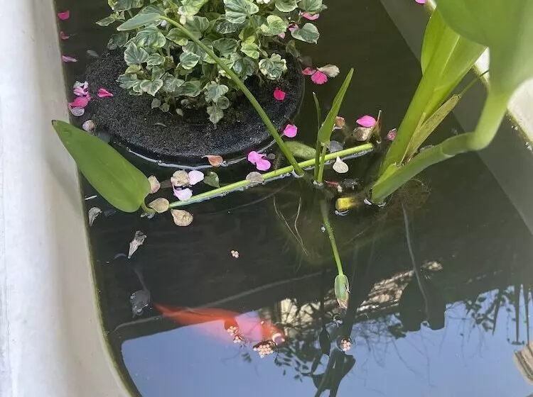 Garden Hotel Rennes Centre Gare