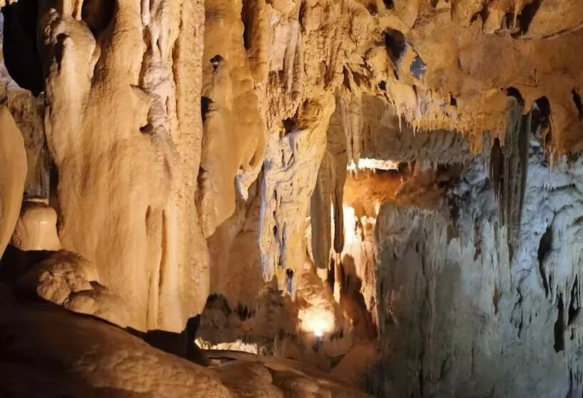 ホテル Aux Armes de Belgique