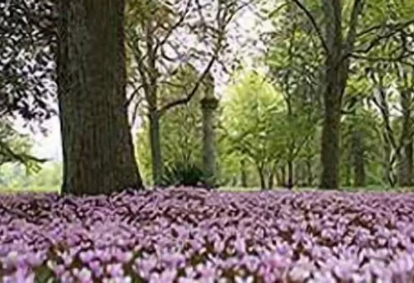 בית מלון כפרי Château De Larroque