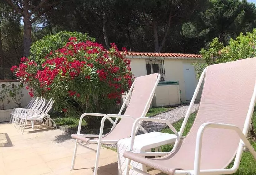 酒店 Plage Des Pins