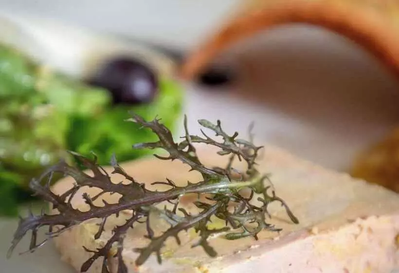 Brit Hotel Kara Sainte Anne D Auray