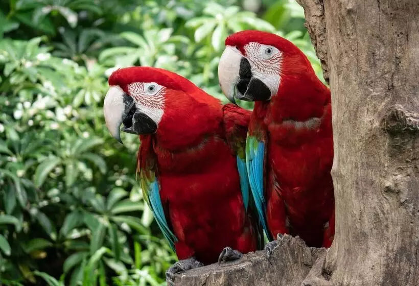 هتل Campanile Limoges Nord