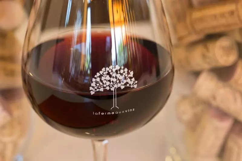 בית מלון כפרי Ibis Beaune La Ferme Aux Vins