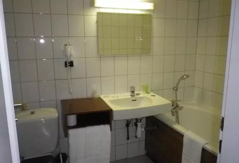 فندق Logis Cit Hôtel Des Vosges 5 Rue De La Gare