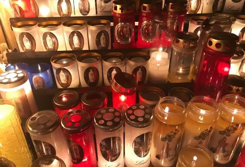 酒店 Hôtel Myosotis