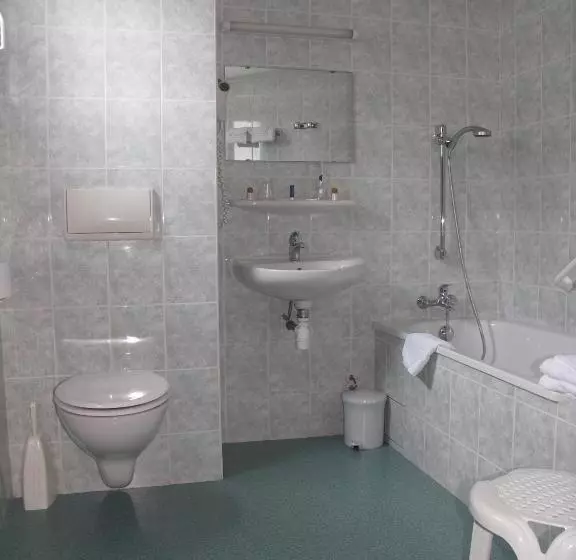 酒店 Hôtel Myosotis