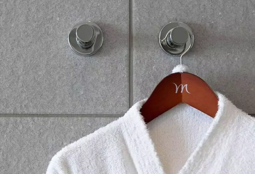 ホテル Mercure Nice Promenade Des Anglais