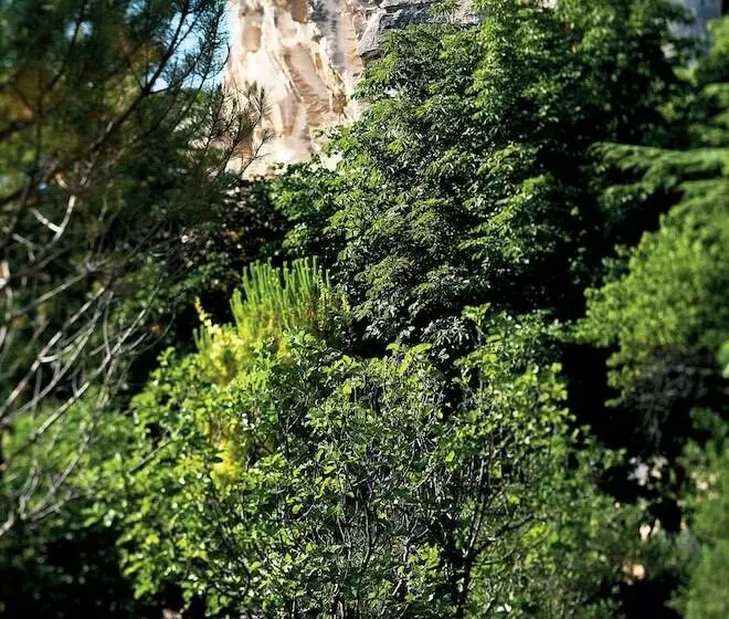 ホテル Baumanière Les Baux De Provence