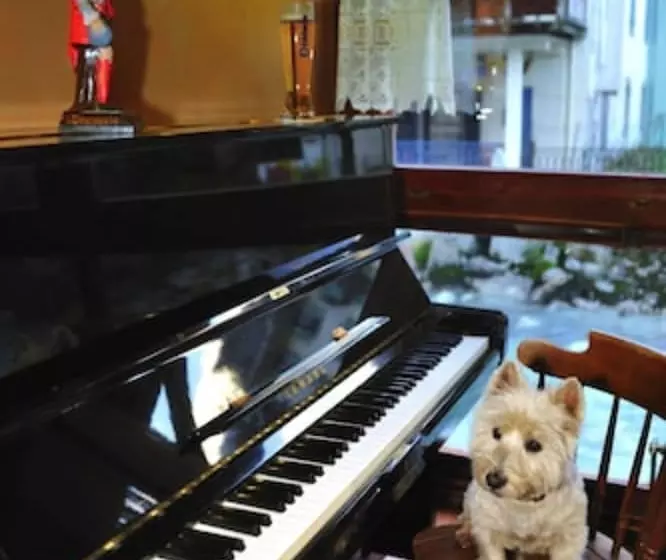 Отель Vallee Blanche