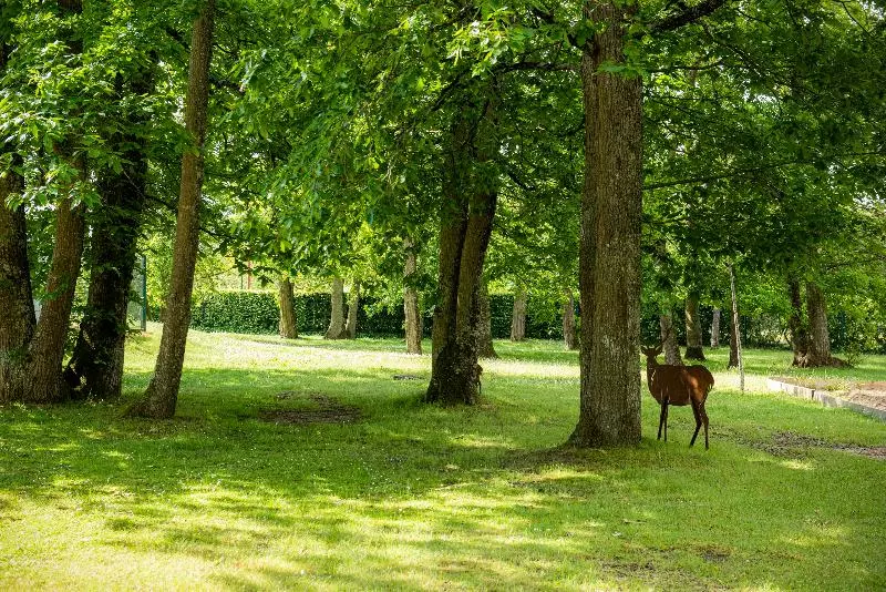 Novotel Orléans Chemins De Sologne Demeures De Campagne