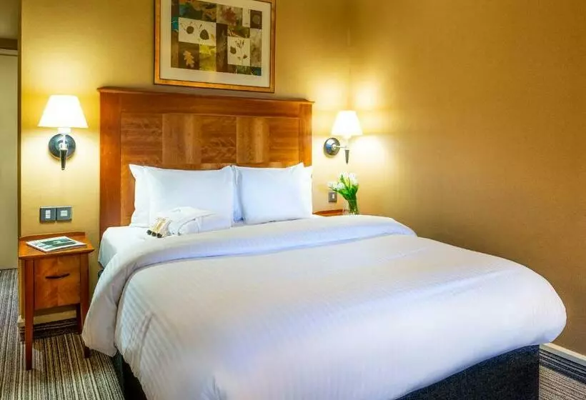 Copthorne Hotel Birmingham