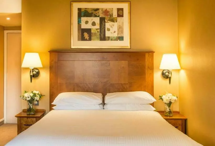 Copthorne Hotel Birmingham