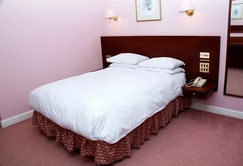 酒店 Chateau Impney