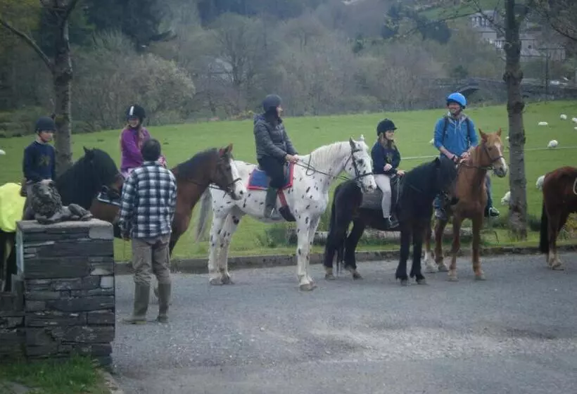 酒店 Elen S Castle