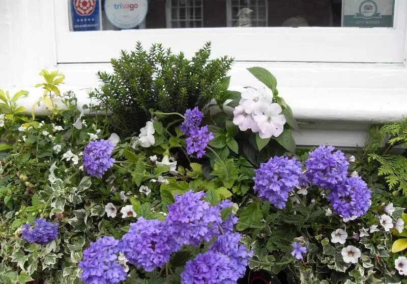 فندق Jessop House