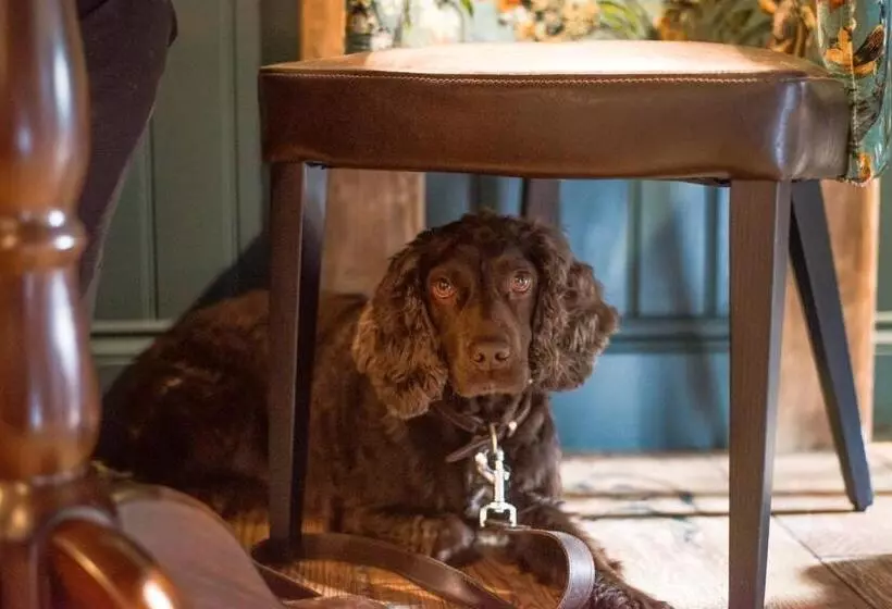 فندق The Swan At Grasmere  The Inn Collection Group