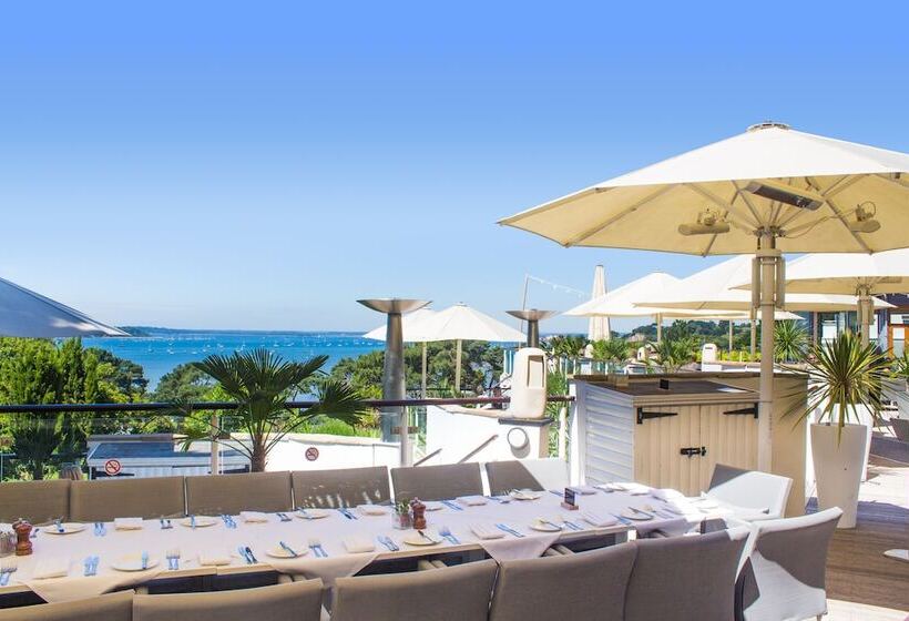 فندق Harbour Heights