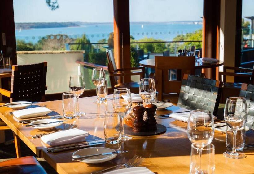 فندق Harbour Heights