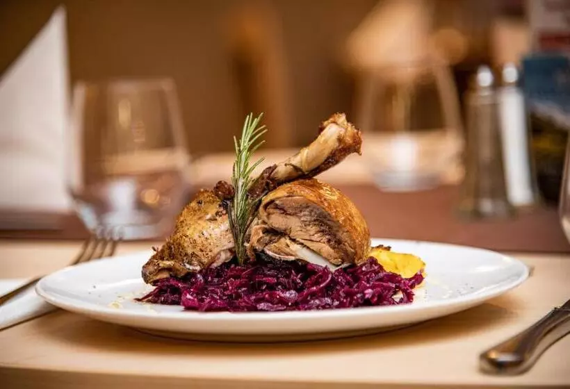 Dráva Hotel Thermal Resort