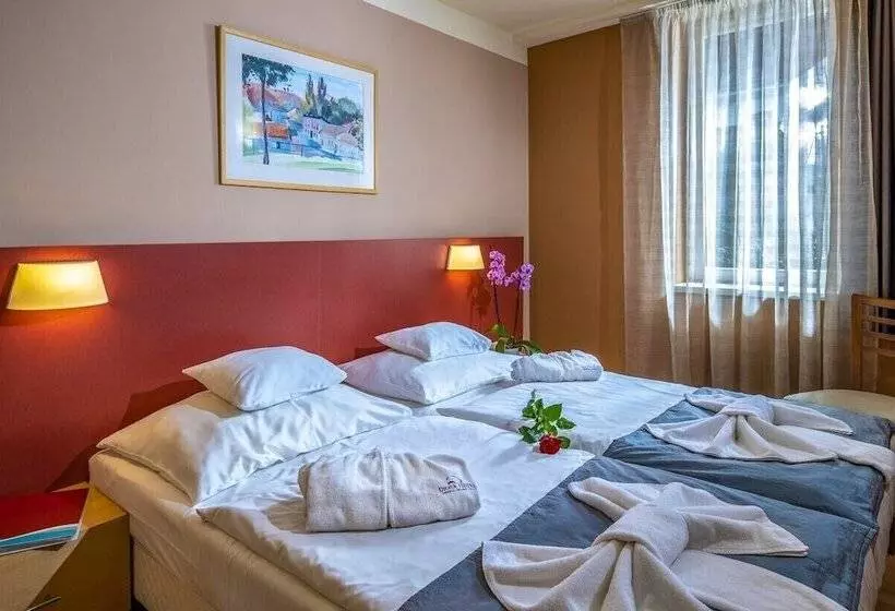 Dráva Hotel Thermal Resort
