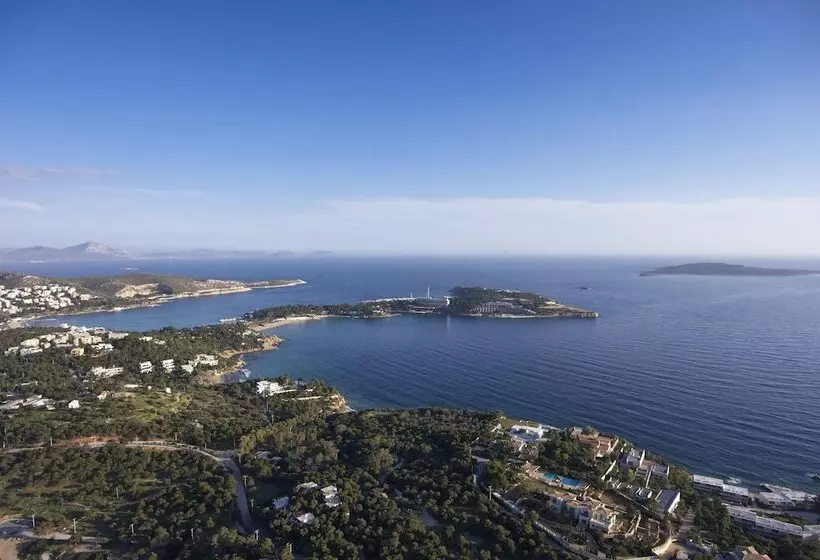 בית מלון כפרי Amarilia