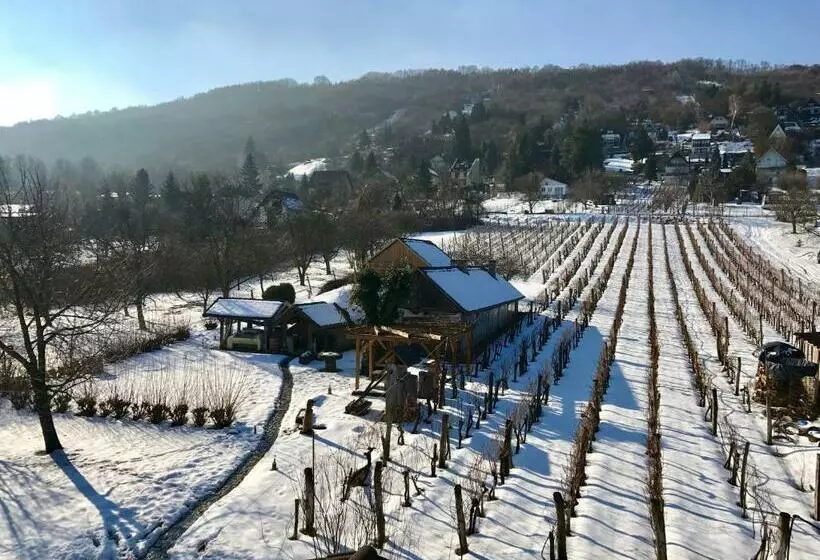 Отель Herold Panzió