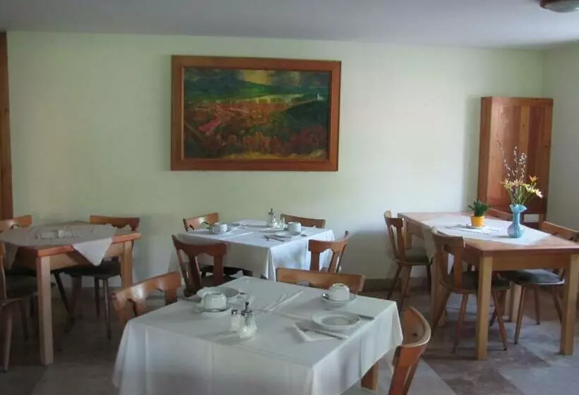 Отель Herold Panzió