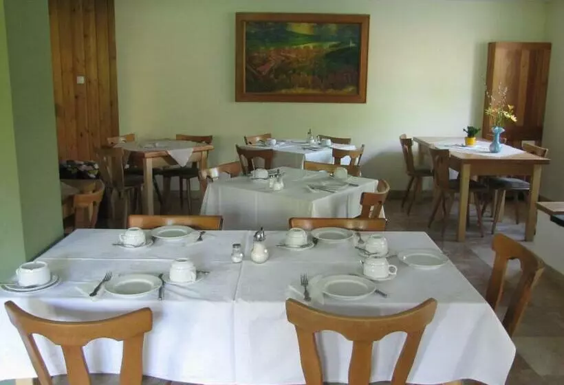 Отель Herold Panzió