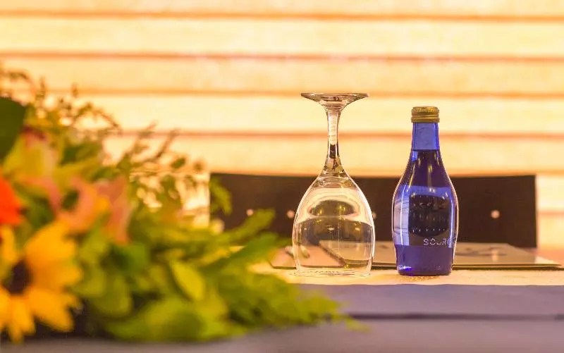 בית מלון כפרי Tropical