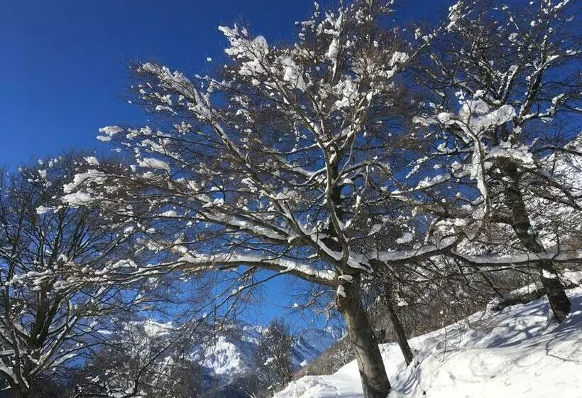 Grand Hotel Ala Di Stura