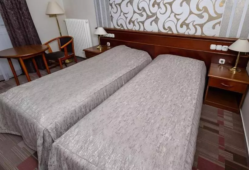 酒店 Arany Bárány