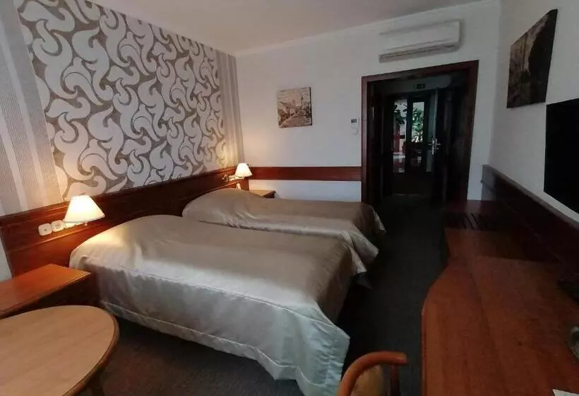 酒店 Arany Bárány