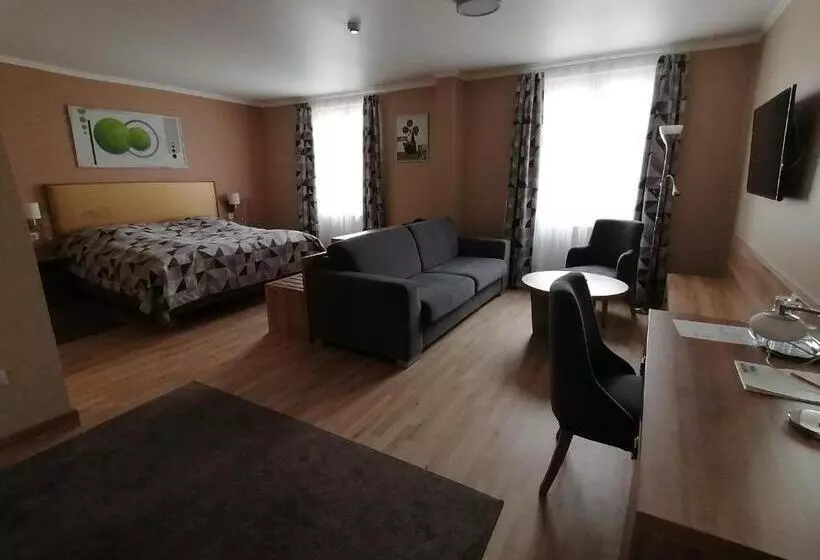 酒店 Arany Bárány