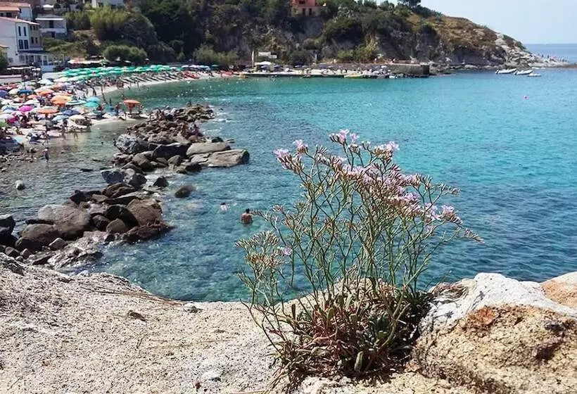 호텔 Cernia Isola Botanica