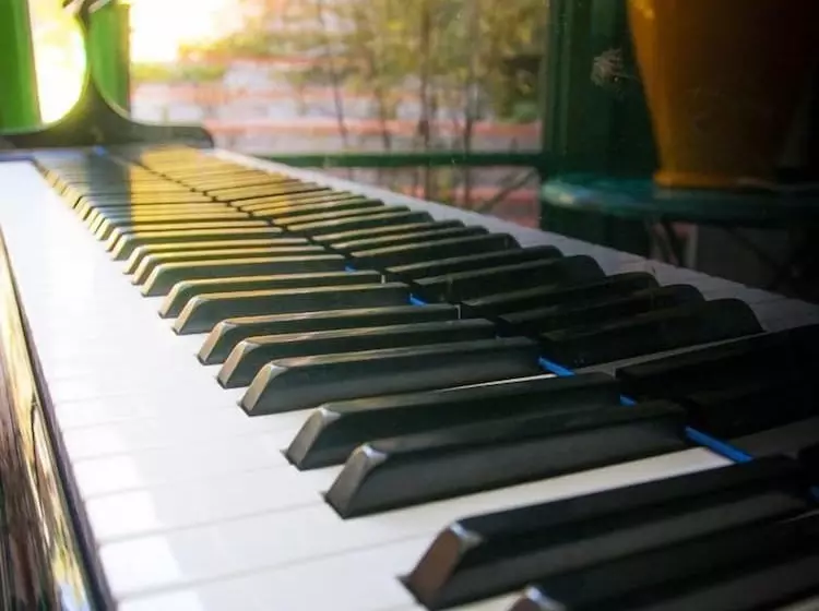 호텔 Cernia Isola Botanica