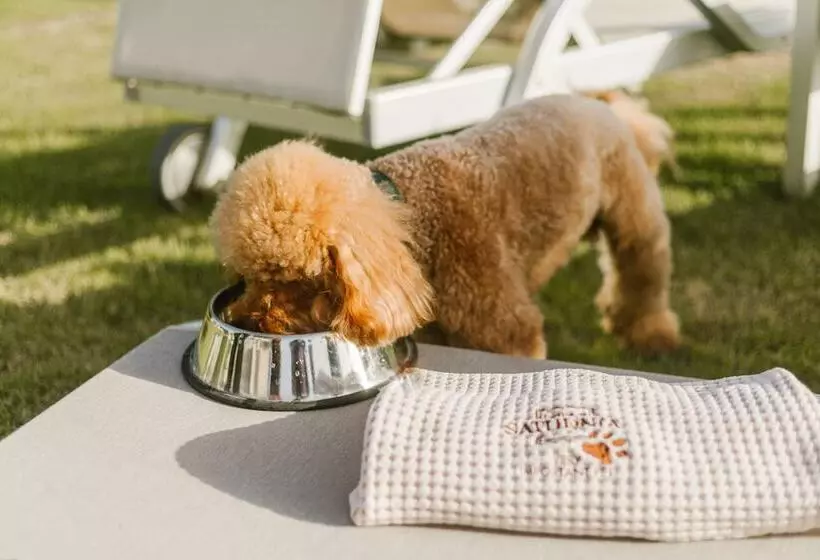 Terme Di Saturnia Natural Spa & Golf Resort The Leading Hotels Of The World