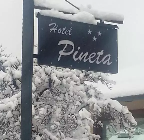 호텔 Pineta