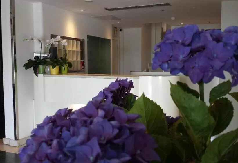 בית מלון כפרי Riviera