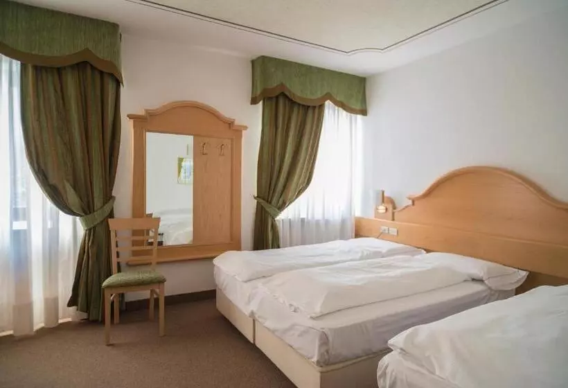 בית מלון כפרי Monzoni San Pellegrino