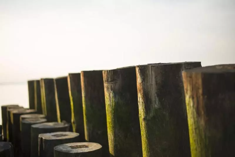 בית מלון כפרי Torremaura