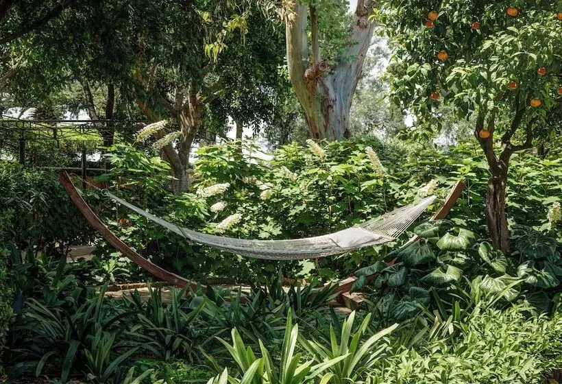 Grand Hotel Ambasciatori