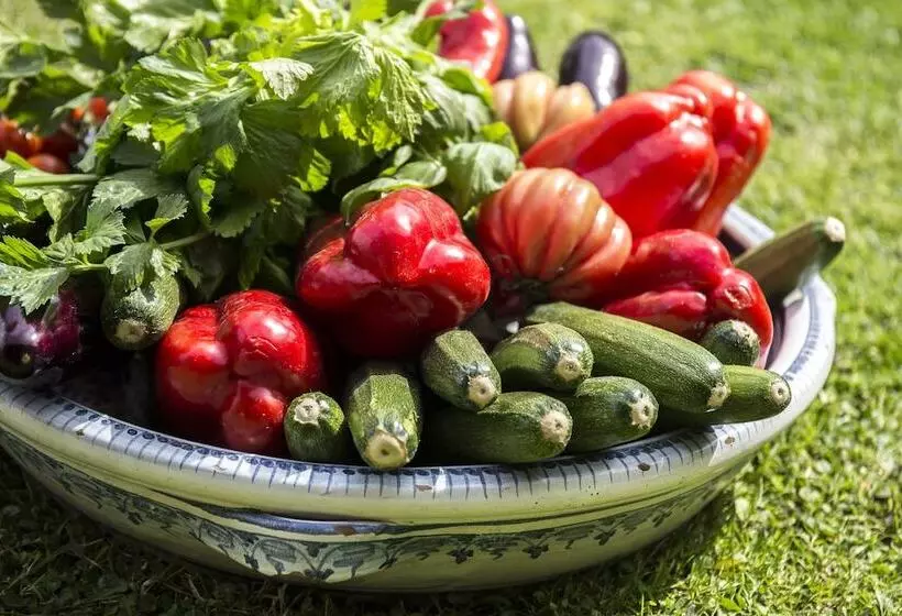 Szálloda Conca Park