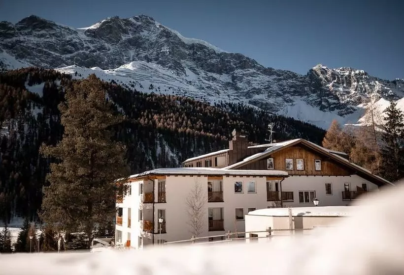 Отель Cristallo