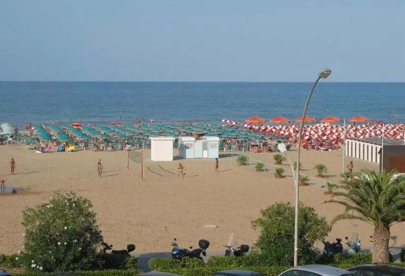 Отель President