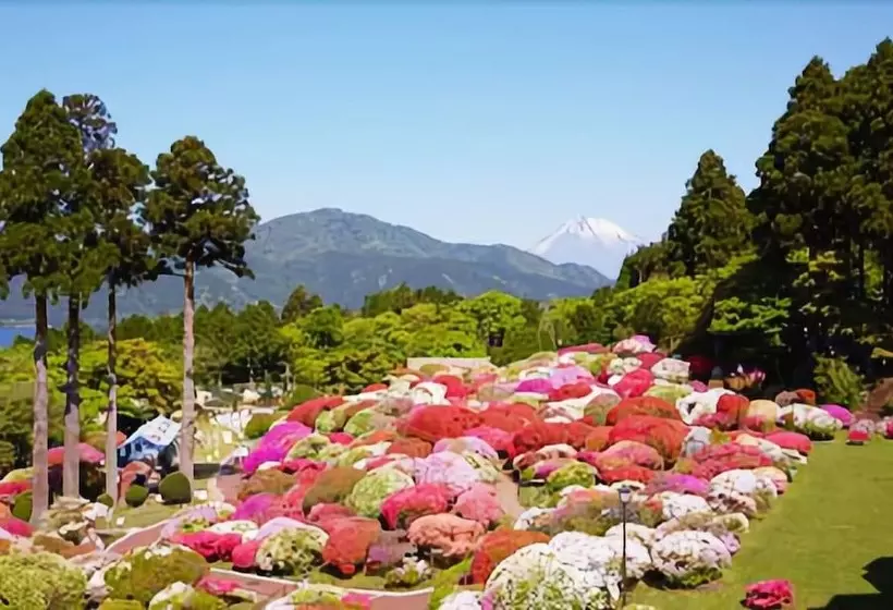 Odakyu Hotel De Yama