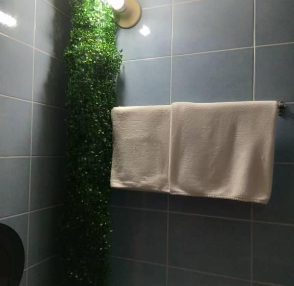 בית מלון כפרי City Inn